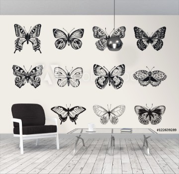 Bild på Set of butterflies Vector vintage classic illustration Black and white
